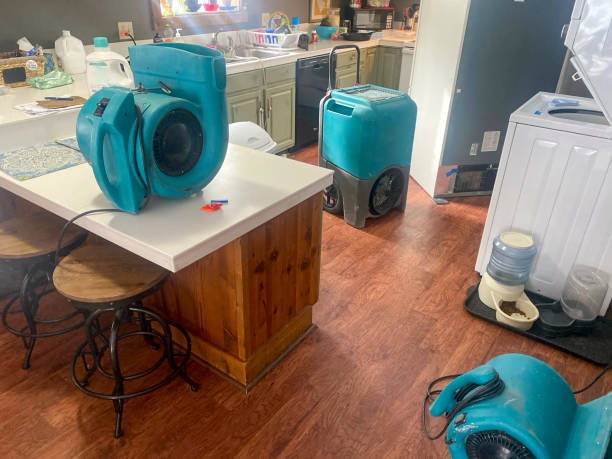 Best Water damage restoration near me  in Sisco Heights, WA