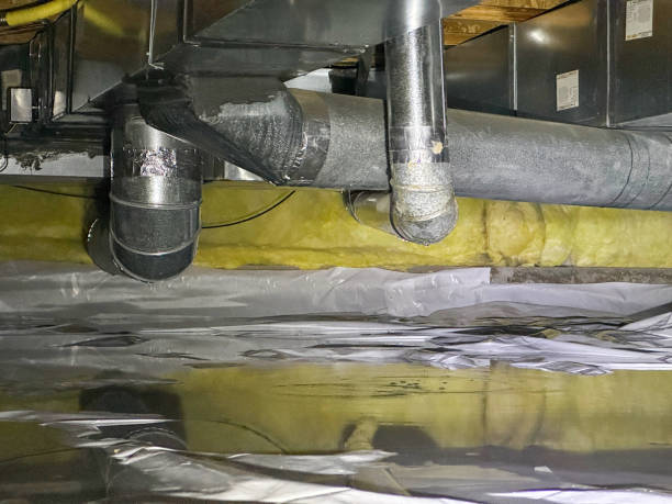 Best Professional water damage repair  in Sisco Heights, WA
