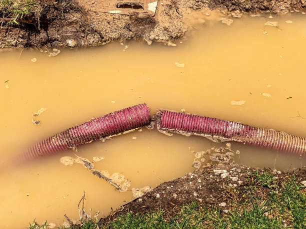 Reliable Sisco Heights, WA Water damage restoration Solutions