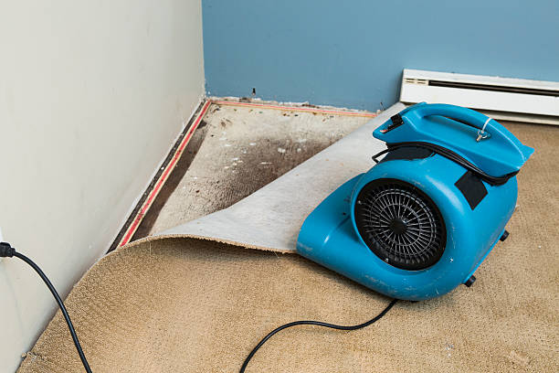 Best 24-hour water damage restoration  in Sisco Heights, WA